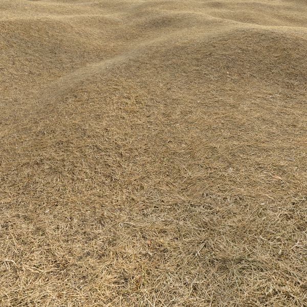 Grass Textures 2048x2048 vol.10