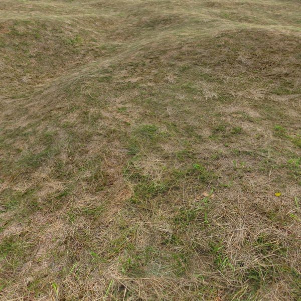 Grass Textures 2048x2048 vol.10