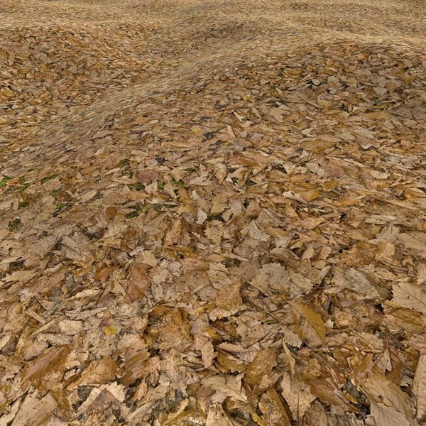 Grass Textures 2048x2048 vol.10