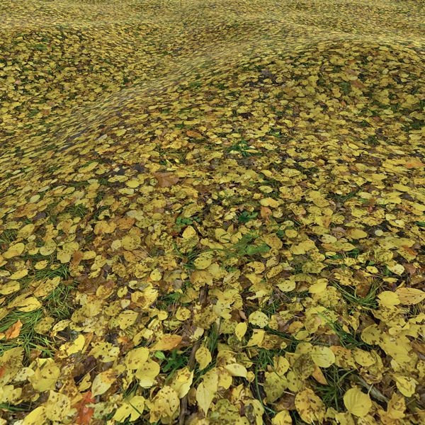 Grass Textures 2048x2048 vol.10