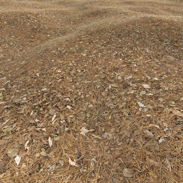 Grass Textures 2048x2048 vol.10