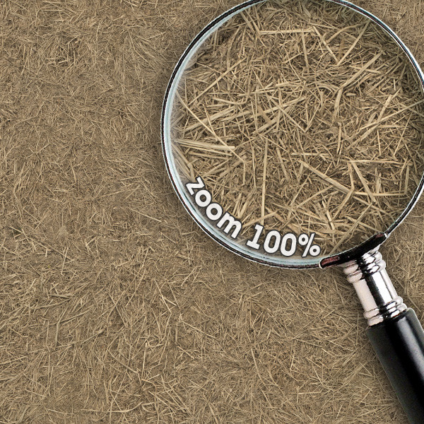 Grass Textures 2048x2048 vol.10
