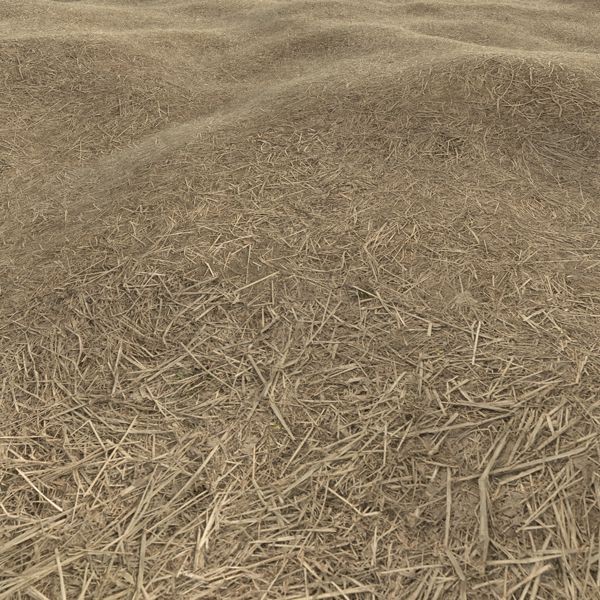 Grass Textures 2048x2048 vol.10