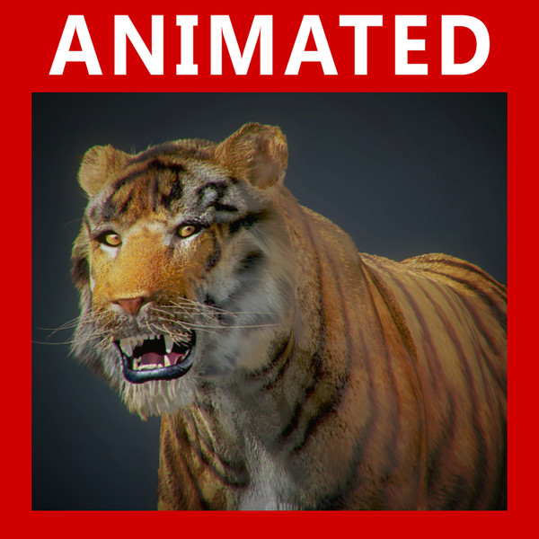3ds max tiger fur - Animated Tiger... by NONECG