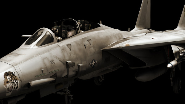maya f14 aircraft - F14... by rmont0