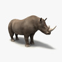 3d model rhino