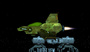 free ship freelancer 3d model