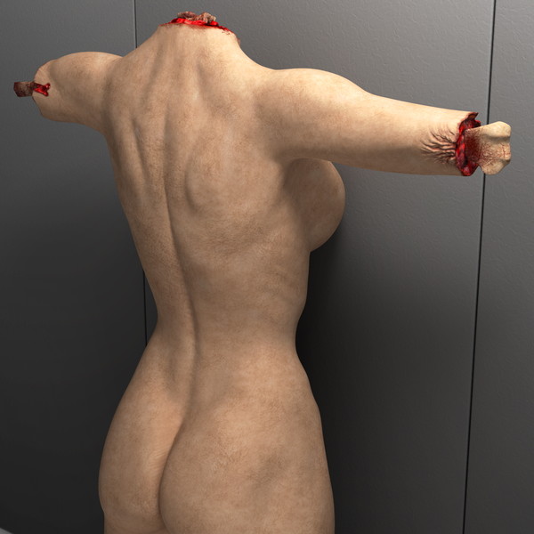 mutilated female corpse 3d model - Mutilated Corpse Body Female... by scyrus