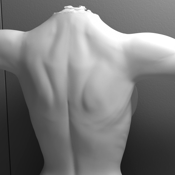 mutilated female corpse 3d model - Mutilated Corpse Body Female... by scyrus