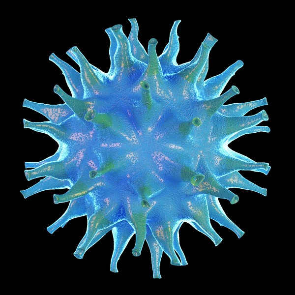 bacterium x - Bacterium Blue by Stubborn3D