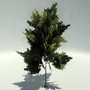 ready tree 3d max