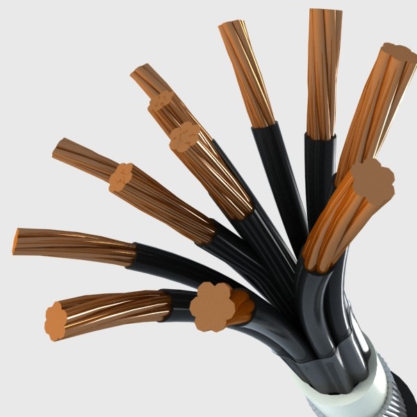 5 cable 3d model - Cable 12X2.5 by happy_maker
