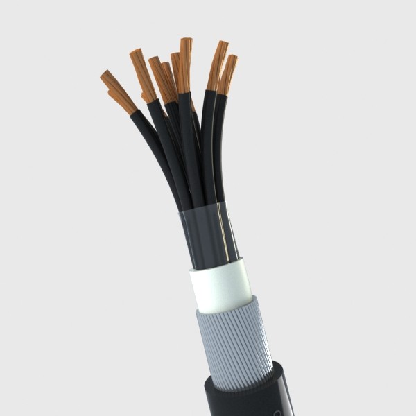 5 cable 3d model - Cable 12X2.5 by happy_maker