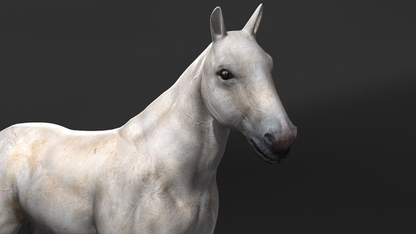 horse rigging 3d model - Horse(1)... by VIS3D