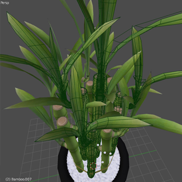 3d model of lucky bamboo - Lucky Bamboo... by robstranges