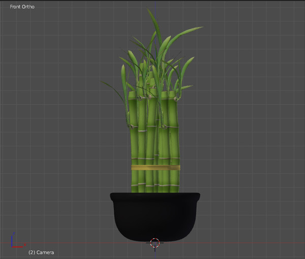 3d model of lucky bamboo - Lucky Bamboo... by robstranges