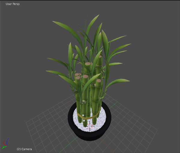 3d model of lucky bamboo - Lucky Bamboo... by robstranges