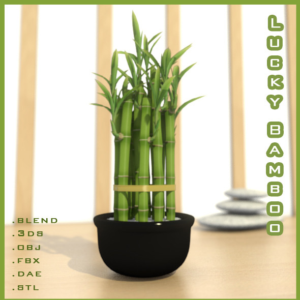 3d model of lucky bamboo - Lucky Bamboo... by robstranges