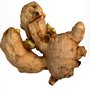 3d model ginger plant root