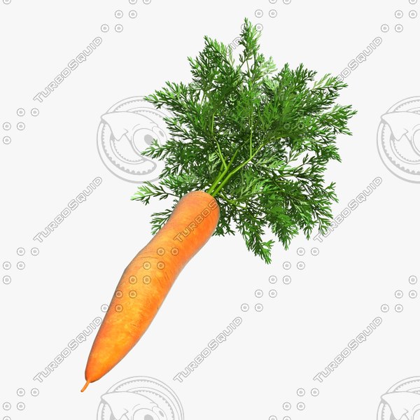 3d model of carrot vegetable - Vegetable 6 Carrot... by CutCat
