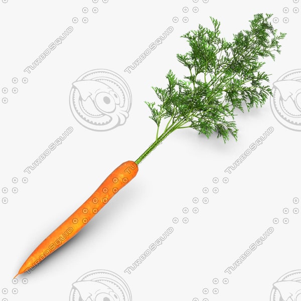 3d model of carrot vegetable - Vegetable 6 Carrot... by CutCat