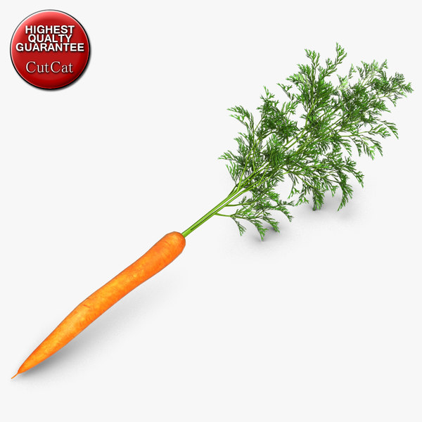 3d model of carrot vegetable - Vegetable 6 Carrot... by CutCat