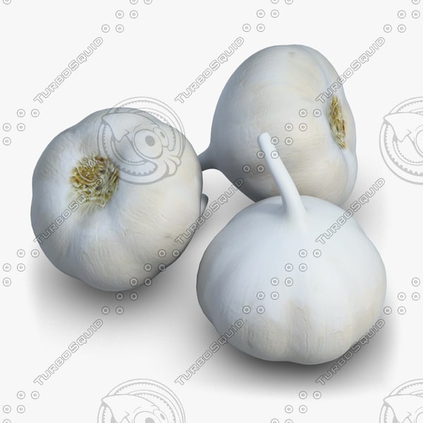 max garlic vegetable - Vegetable 7 Garlic by CutCat
