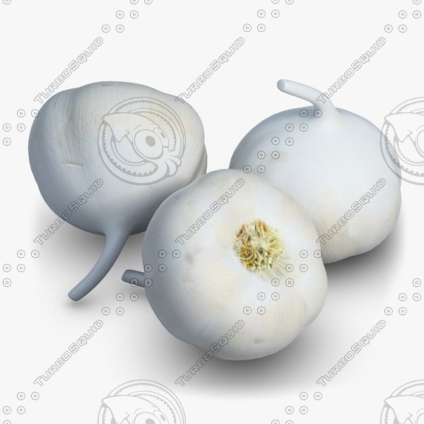 max garlic vegetable - Vegetable 7 Garlic by CutCat