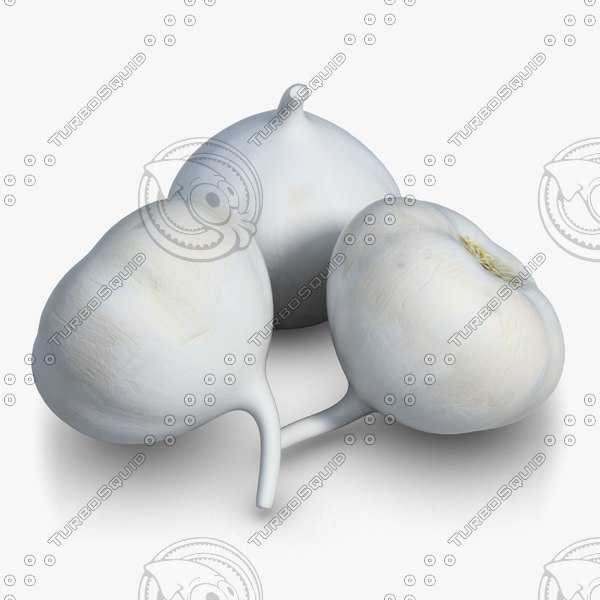 max garlic vegetable - Vegetable 7 Garlic by CutCat