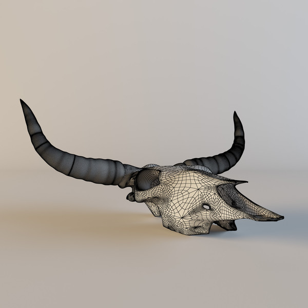 cow skull 3d model - Cow_skull by mifody