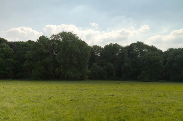 HDR 113 Meadow with Plates