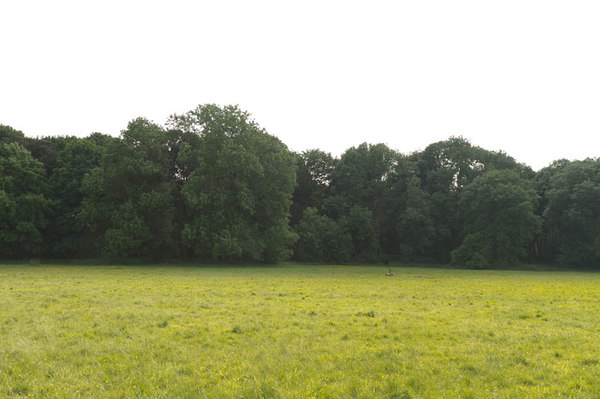 HDR 113 Meadow with Plates