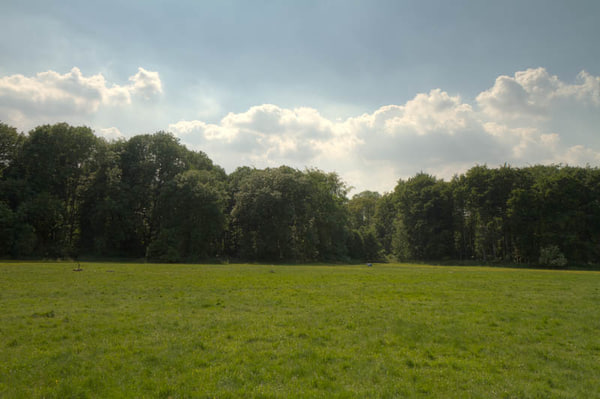 HDR 113 Meadow with Plates