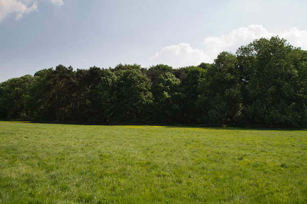 HDR 113 Meadow with Plates