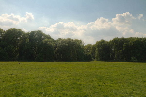 HDR 113 Meadow with Plates