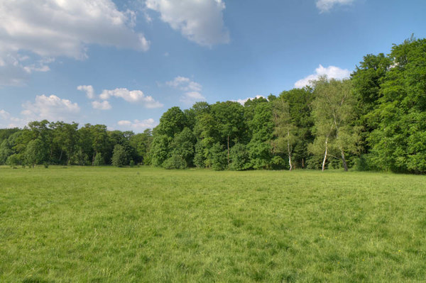 HDR 113 Meadow with Plates