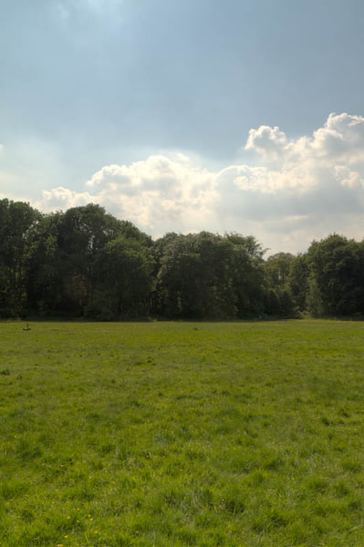 HDR 113 Meadow with Plates