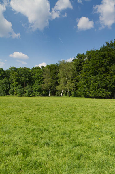 HDR 113 Meadow with Plates