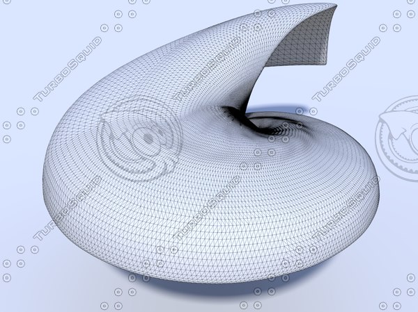 nautilus seashell obj - Nautilus SeaShell... by INNER LEAF