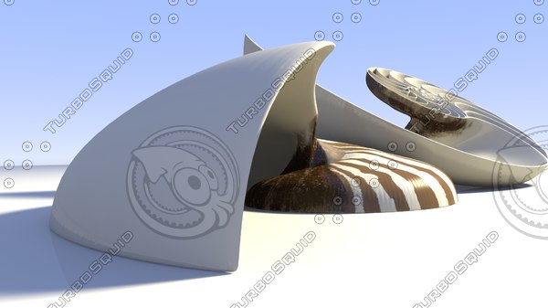 nautilus seashell obj - Nautilus SeaShell... by INNER LEAF