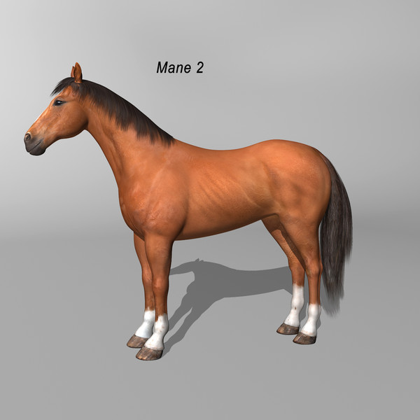 maya brown looped galloping - Horse ( Brown )... by MotionCow