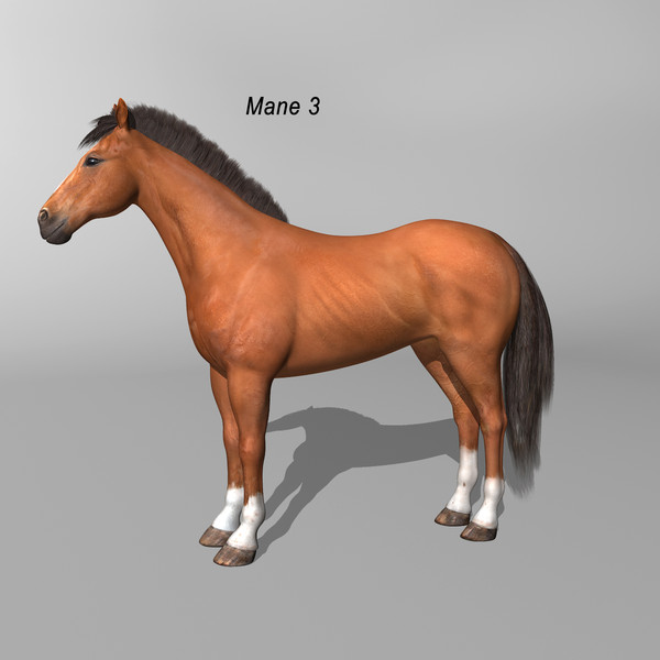 maya brown looped galloping - Horse ( Brown )... by MotionCow