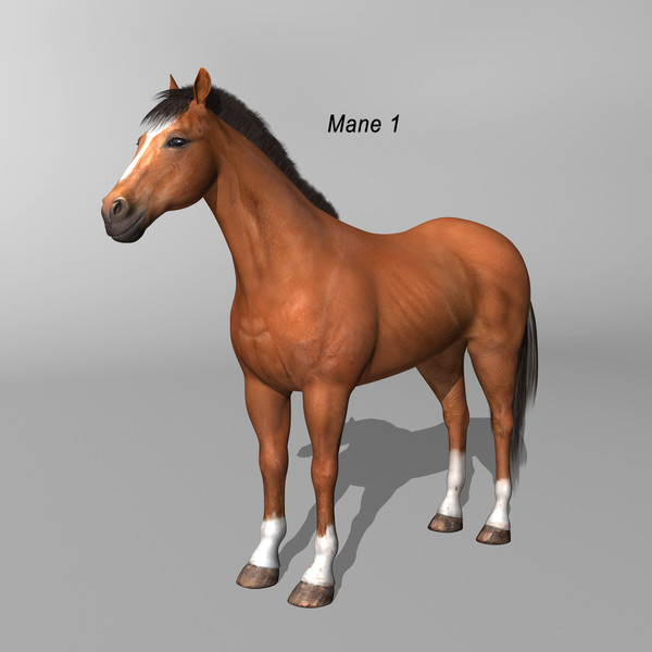 maya brown looped galloping - Horse ( Brown )... by MotionCow