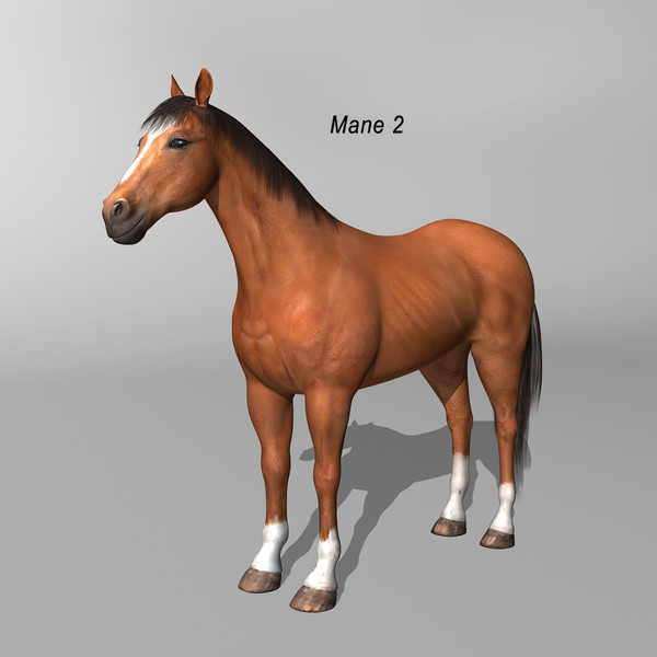 maya brown looped galloping - Horse ( Brown )... by MotionCow