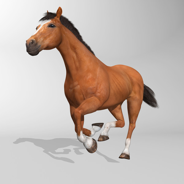 maya brown looped galloping - Horse ( Brown )... by MotionCow