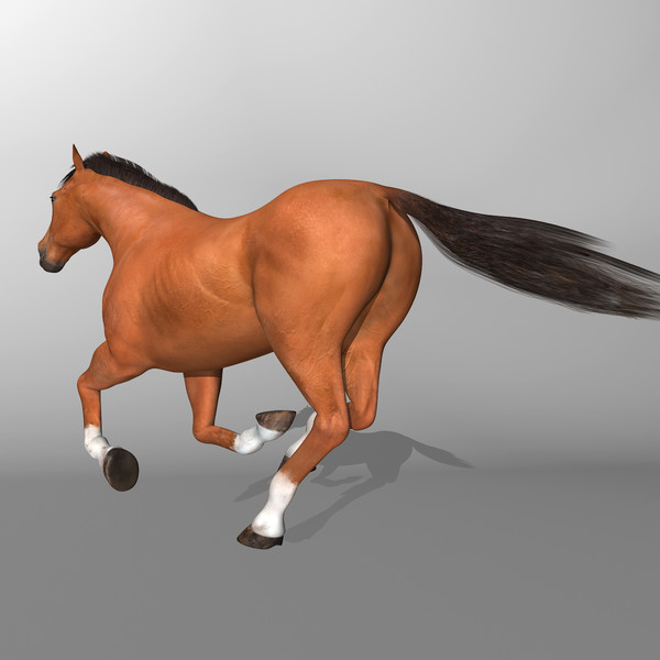 maya brown looped galloping - Horse ( Brown )... by MotionCow