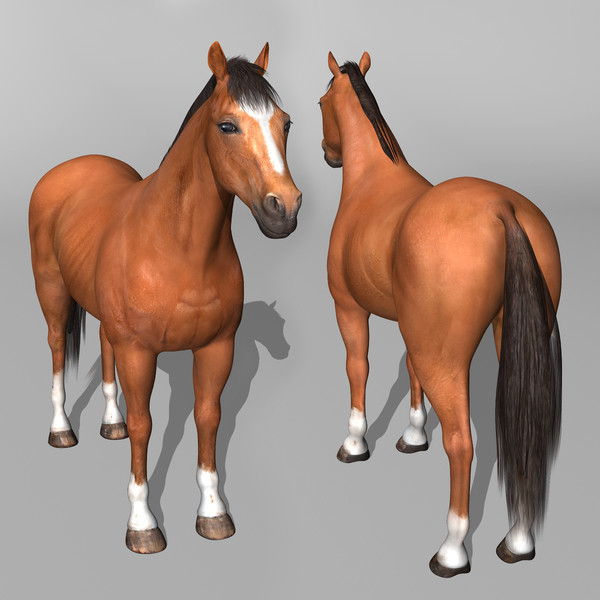 maya brown looped galloping - Horse ( Brown )... by MotionCow