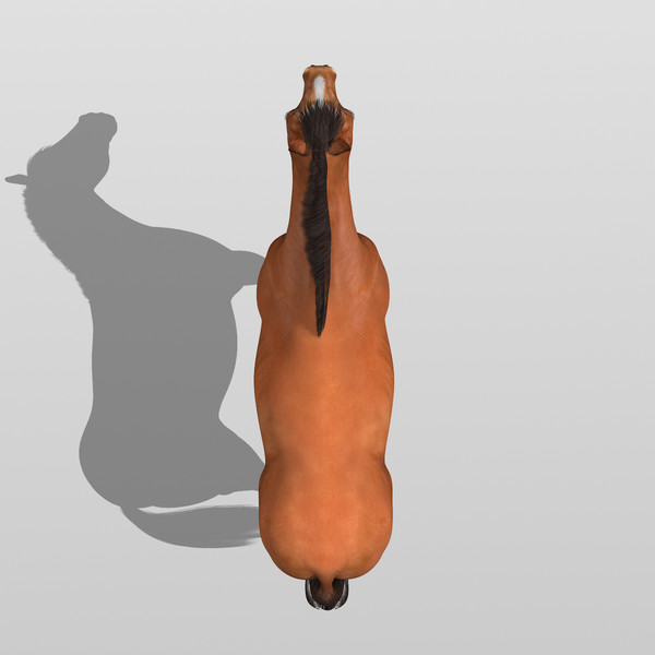maya brown looped galloping - Horse ( Brown )... by MotionCow