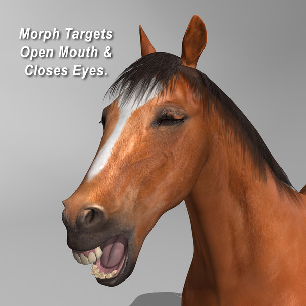 maya brown looped galloping - Horse ( Brown )... by MotionCow