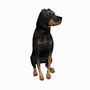 max dog